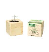 Набор для выращивания &laquo;Сосна обыкновенная&raquo;