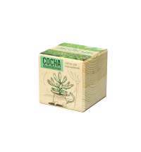 Набор для выращивания &laquo;Сосна обыкновенная&raquo;