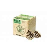 Набор для выращивания &laquo;Сосна обыкновенная&raquo;