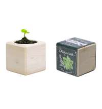 Набор для выращивания &laquo;Базилик&raquo;