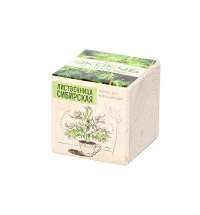 Набор для выращивания &laquo;Лиственница Сибирская&raquo;