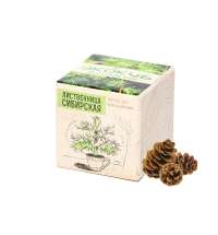 Набор для выращивания &laquo;Лиственница Сибирская&raquo;