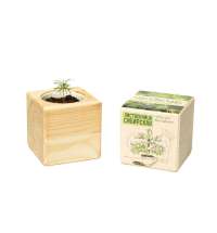 Набор для выращивания &laquo;Лиственница Сибирская&raquo;