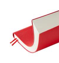 Ежедневник недатированный А5 &laquo;Grand&raquo;