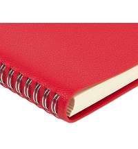 Ежедневник недатированный А5 &laquo;Alba&raquo;