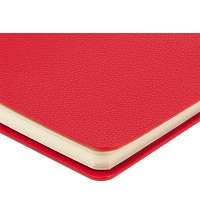 Ежедневник недатированный А5 &laquo;Alba&raquo;