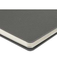 Ежедневник недатированный А5 &laquo;Alba&raquo;