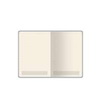 Ежедневник недатированный А5 &laquo;Status&raquo;