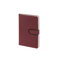 Ежедневник недатированный А5 &laquo;Status&raquo;