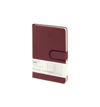 Ежедневник недатированный А5 &laquo;Status&raquo;