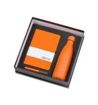 Подарочный набор &laquo;COLOR IT&raquo; c блокнотом, ручкой и термобутылкой