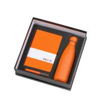 Подарочный набор &laquo;COLOR IT&raquo; c блокнотом, ручкой и термобутылкой