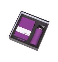 Подарочный набор c блокнотом C2, ручкой и бутылкой