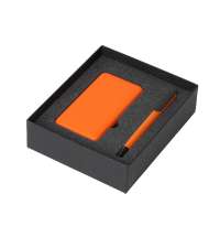 Подарочный набор &laquo;COLOR IT&raquo; c ручкой и повербанком