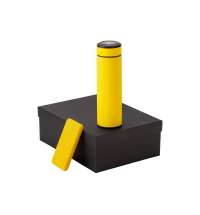 Подарочный набор "COLOR IT" c термосом и повербанком