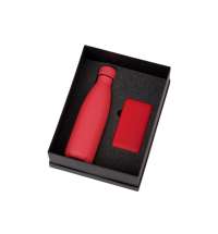 Подарочный набор &laquo;COLOR IT&raquo; с термобутылкой и повербанком