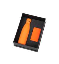 Подарочный набор &laquo;COLOR IT&raquo; с термобутылкой и повербанком