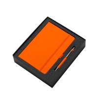 Подарочный набор &laquo;Vision Pro Plus 2.0&raquo;