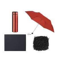 Подарочный набор с зонтом и термосом