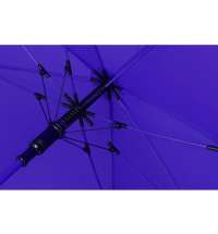 Зонт-трость &laquo;Color&raquo;