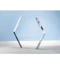 Награда &laquo;Hexagon&raquo;