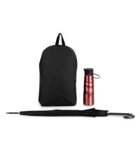 Набор с бутылкой и зонтом &laquo;Water element&raquo;