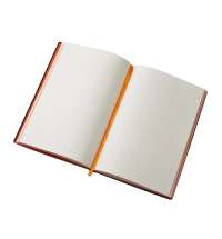 Блокнот в гибкой обложке А5 &laquo;C1&raquo; софт-тач