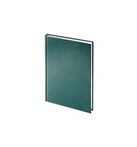 Ежедневник датированный А5 &laquo;Ideal New&raquo; на 2025 год