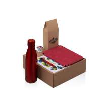 Набор &laquo;Teanote&raquo; с термобутылкой, блокнотом, ручкой и чаем