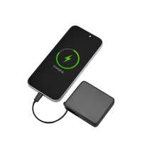 Внешний аккумулятор со встроенным кабелем USB-C &laquo;Дэнси&raquo;, 5000 мАч