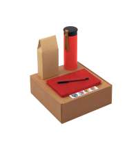 Набор &laquo;Draftea&raquo; с блокнотом, ручкой, термосом и чаем