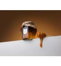 Мед с сосновыми шишками и кедровыми орехами