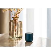 Колонка беспроводная Mino+