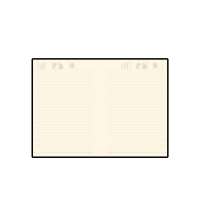 Ежедневник недатированный А5 &laquo;Megapolis Soft&raquo;