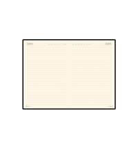 Ежедневник недатированный А5 &laquo;Megapolis Velvet&raquo;