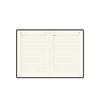 Ежедневник недатированный А5+ &laquo;Persona&raquo;