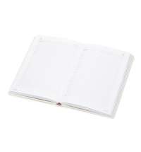 Ежедневник недатированный А5 &laquo;Velvet&raquo;