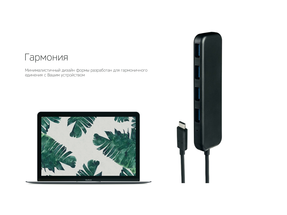 Хаб&nbsp; &laquo;Type-C&raquo;