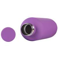 Вакуумная термобутылка ODIN, soft-touch, 550 мл