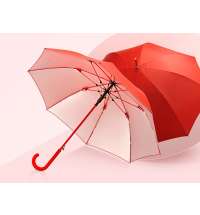 Зонт-трость &laquo;Silver Color&raquo;