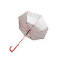 Зонт-трость &laquo;Silver Color&raquo;