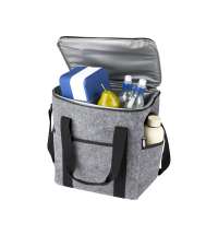 Сумка-холодильник для бутылок &laquo;Фельта&raquo;