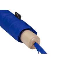 Зонт складной &laquo;Дейн&raquo;