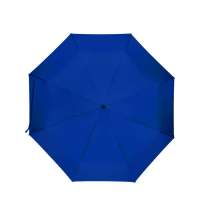 Зонт складной &laquo;Дейн&raquo;