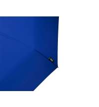 Зонт складной &laquo;Дейн&raquo;
