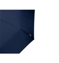 Зонт складной &laquo;Дейн&raquo;