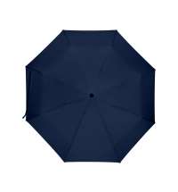 Зонт складной &laquo;Дейн&raquo;