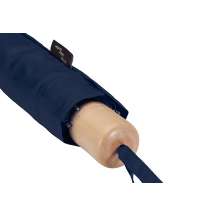 Зонт складной &laquo;Дейн&raquo;