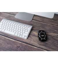 Беспроводная мышь &laquo;Geo Mouse Plus&raquo;