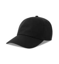 Бейсболка DAD HAT-S, 5 клиньев, металлическая застежка